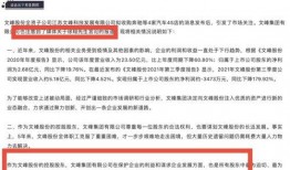 文峰集团爆料最新消息,揭秘企业动态与未来发展规划